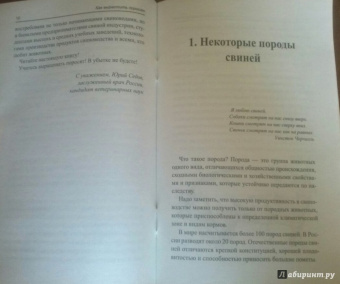 Юрий Седов: Как вырастить поросят? разведение, содержание, уход