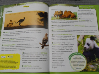 Вероника Пеллегрини: Вопросы и ответы обо всем на свете