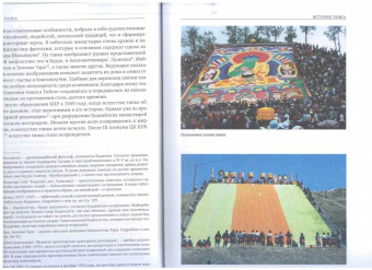 Хайся Ван: Живопись танка