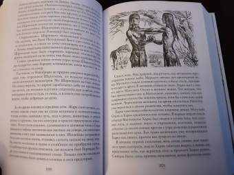 Лизелотта Вельскопф-Генрих: Изгнанники, или Топ и Харри