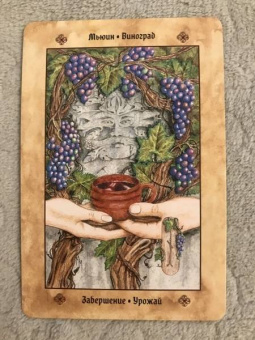 Асала, Идальго, Мюллер: Кельтские ритуалы + Кельтская народная кухня + Голоса деревьв. Комплект (6425)