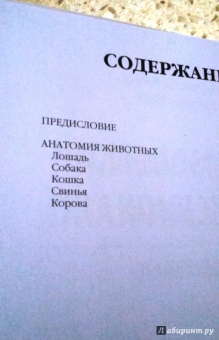Суньоги, Фехер: Анатомический рисунок. Животные