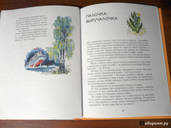 Николай Осипов: Заколдованное дерево
