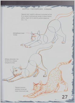 Марк Берджин: Школа рисования. Кошки