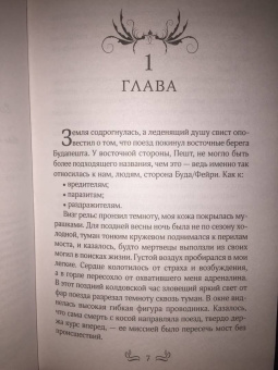 Стейси Браун: Дикие Земли