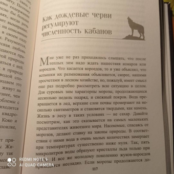 Петер Воллебен: Тайные связи в природе
