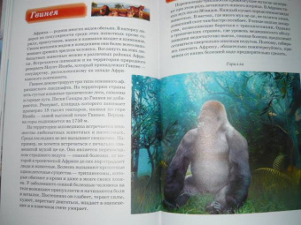 Сергей Афонькин: Знакомьтесь:  Африка. Школьный путеводитель