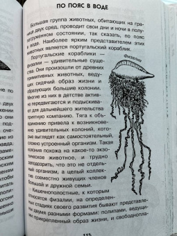 Борис Сергеев: Тайны океана