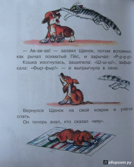 Владимир Сутеев: Загадочные истории