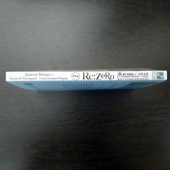 Таппэй Нагацуки: Re:  Zero. Жизнь с нуля в альтернативном мире. День в столице королевства. Том 2