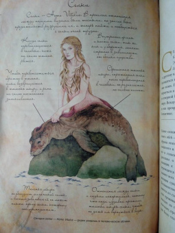 Вероника Вигберт-Блэкуотер: Энциклопедия магических чудищ. Анатомическое исследование наиболее неуловимых существ криптозоологии
