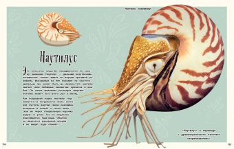 Бен Хоар: Чудеса природы. Энциклопедия