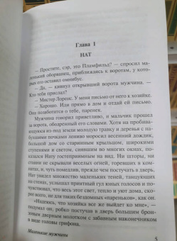 Луиза Олкотт: Маленькие мужчины