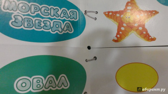 Найди половинки. Формы и фигуры