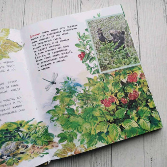 Танасийчук, Волцит, Альтшулер: Почемучкины сказки о животных