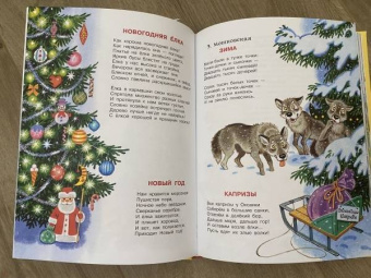 Михалков, Успенский, Маршак: Мы встречаем Новый год!
