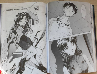 Ёсиюки Садамото: Новый век. Евангелион. Книга 1