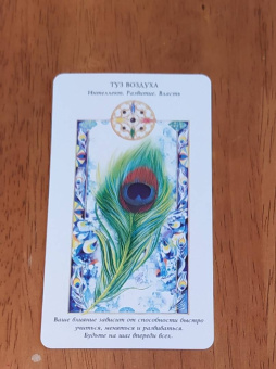 Лариса Ренар: Послания стихий. Карты Таро (брошюра + 78 карт)