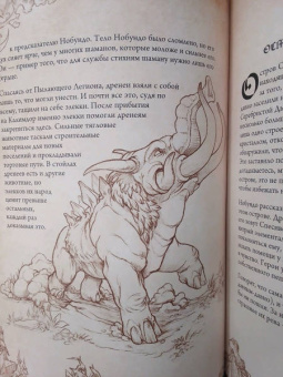 Шон Коупленд: World of WarCraft. Энциклопедия Азерота. Калимдор