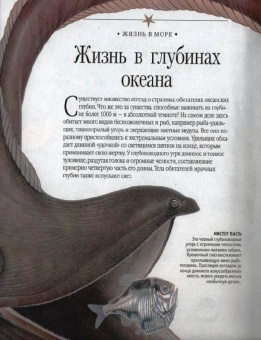 Самая красивая энциклопедия животных