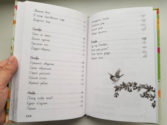 Николай Сладков: Лесные тайнички