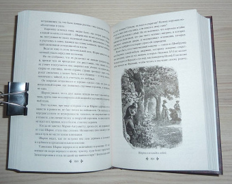 Александр Дюма: Ожерелье королевы. Том 2