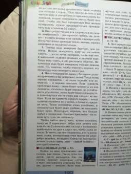 Квантик. Альманах для любознательных. Выпуск 19
