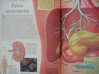 Моя первая энциклопедия