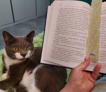 Евгения Левицки: Инсайт. Книга I