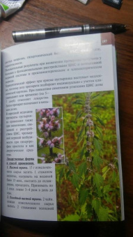 Александр Ефремов: Дикорастущие лекарственные растения средней полосы России:  карманный справочник