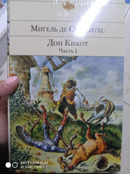 Сервантес Мигель де Сааведра: Дон Кихот. Комплект из 2-х книг
