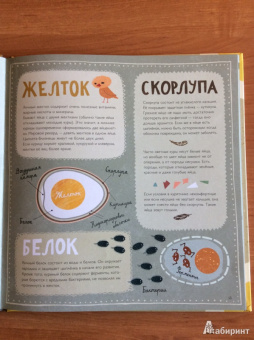 Лена Шёберг: Крутые факты о яйцах