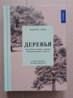Андреас Хазе: Деревья. Как жизни человека и дерева переплетены друг с другом
