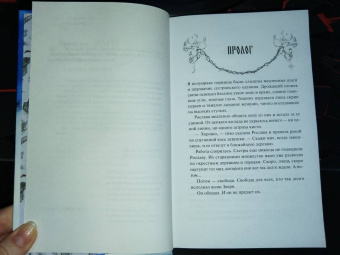 Рита Хоффман: Мрачный Взвод. Двенадцать дней Коляды