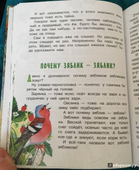 Николай Сладков: Лесные сказки