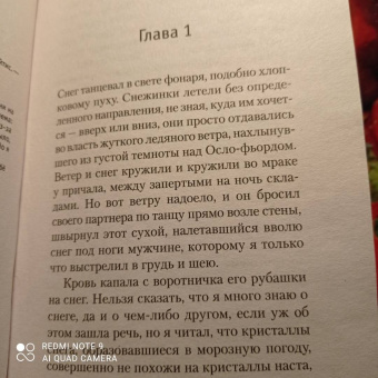 Ю Несбё: Кровь на снегу