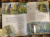 Мирослав Бакулин: Сказ о святом Филофее, сибирском чудотворце