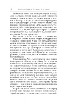 Шапочкин, Широков: Поле боя