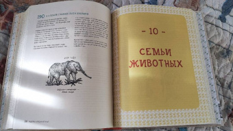 Матильда Мастерс: Может ли лошадь решать уравнения? И ещё 320 вопросов о животных