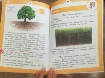 Татьяна Шпотова: Естествознание. 1 класс. Азбука экологии. Учебник. ФГОС