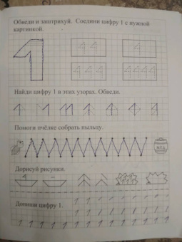 Математические прописи. Учим цифры и решаем логические задачки. 6 лет. Пиши, решай, логику развивай