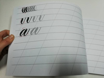 Анна Суворова: Каллиграфия кистью. Прописи. Латиница