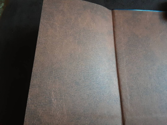 Яцек Пекара: Ловцы душ