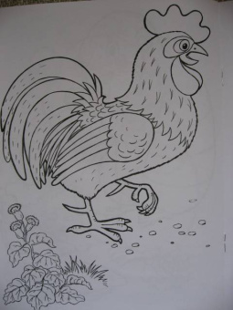 Татьяна Коваль: Домашние любимцы