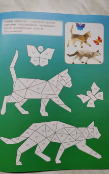 Котята и кошки