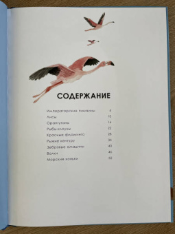 Олливье, Клаас: Лучшие родители