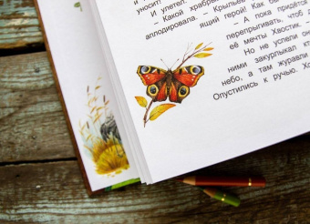 Дороченкова, Кравчук: Лесные секреты