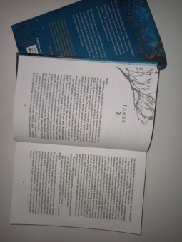 Дженнифер Бенкау: Одна истинная королева. Книга 1