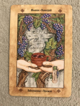 Микки Мюллер: Голоса деревьев. Кельтский оракул (25 карт)