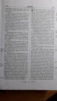 Библия. Книги Священного Писания Ветхого и Нового Завета (бордо)